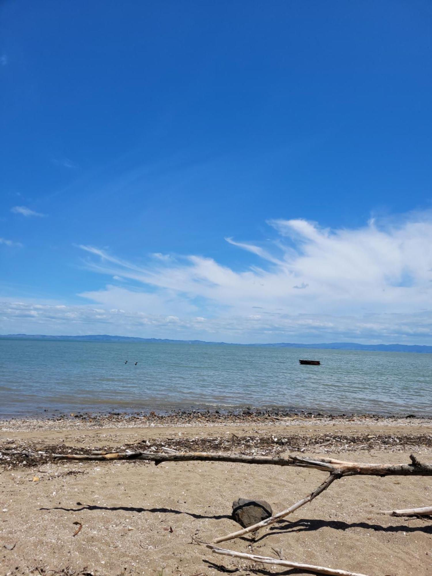 Dickson Holiday Park Thames Ngoại thất bức ảnh