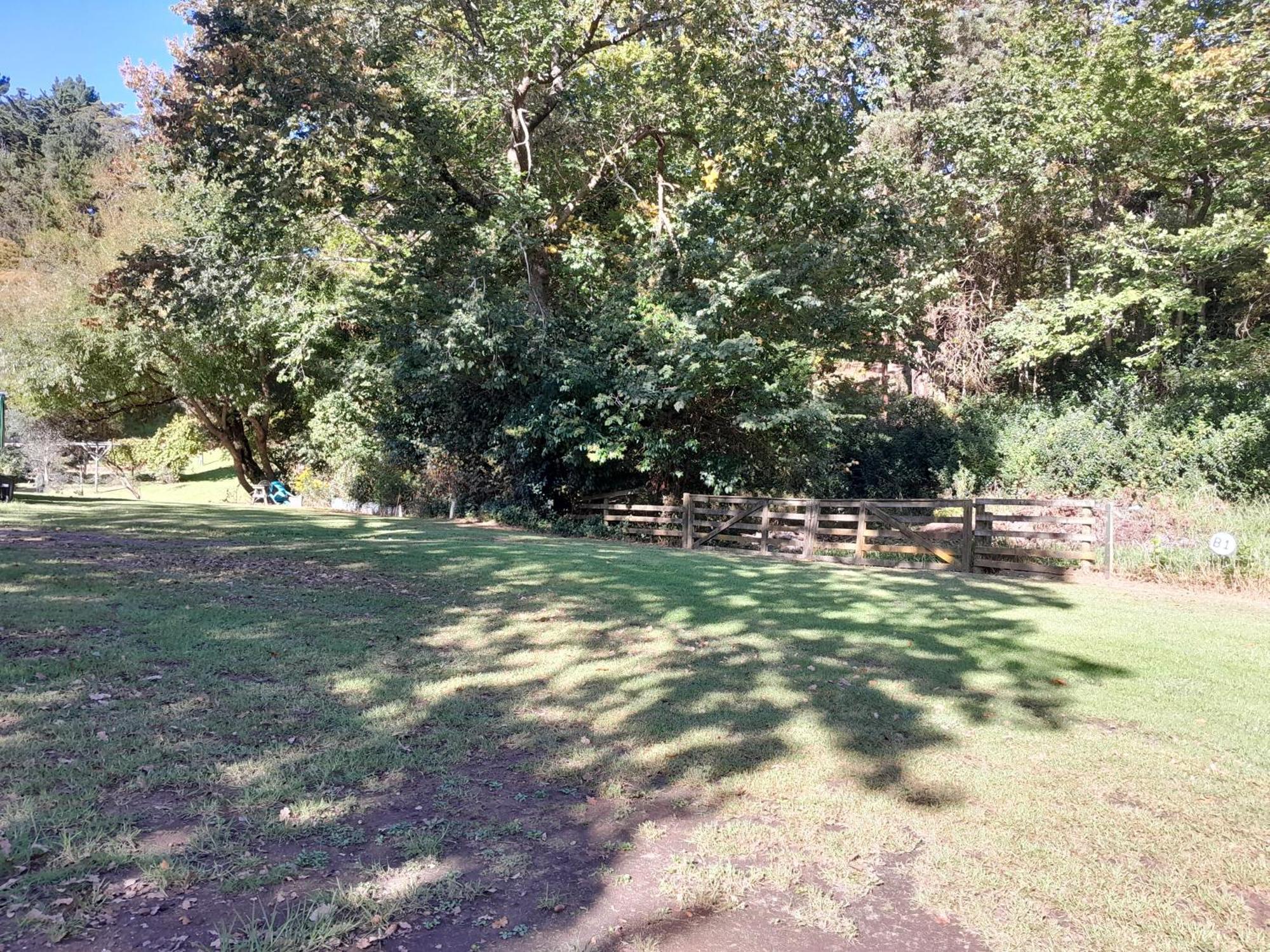 Dickson Holiday Park Thames Ngoại thất bức ảnh