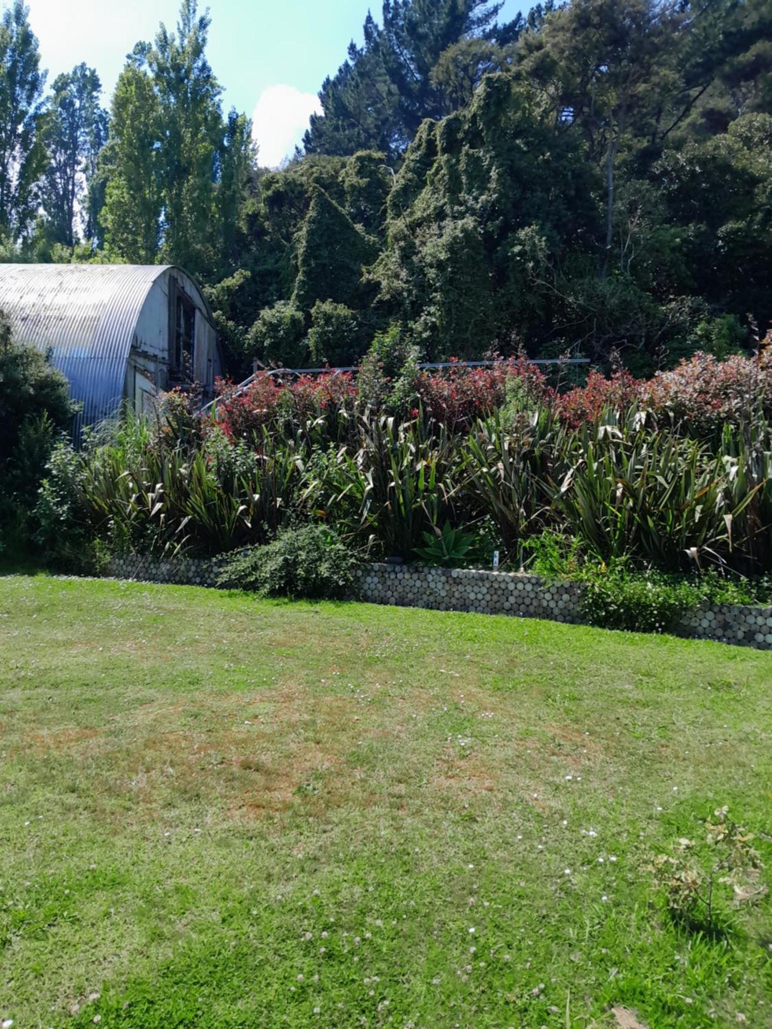 Dickson Holiday Park Thames Ngoại thất bức ảnh